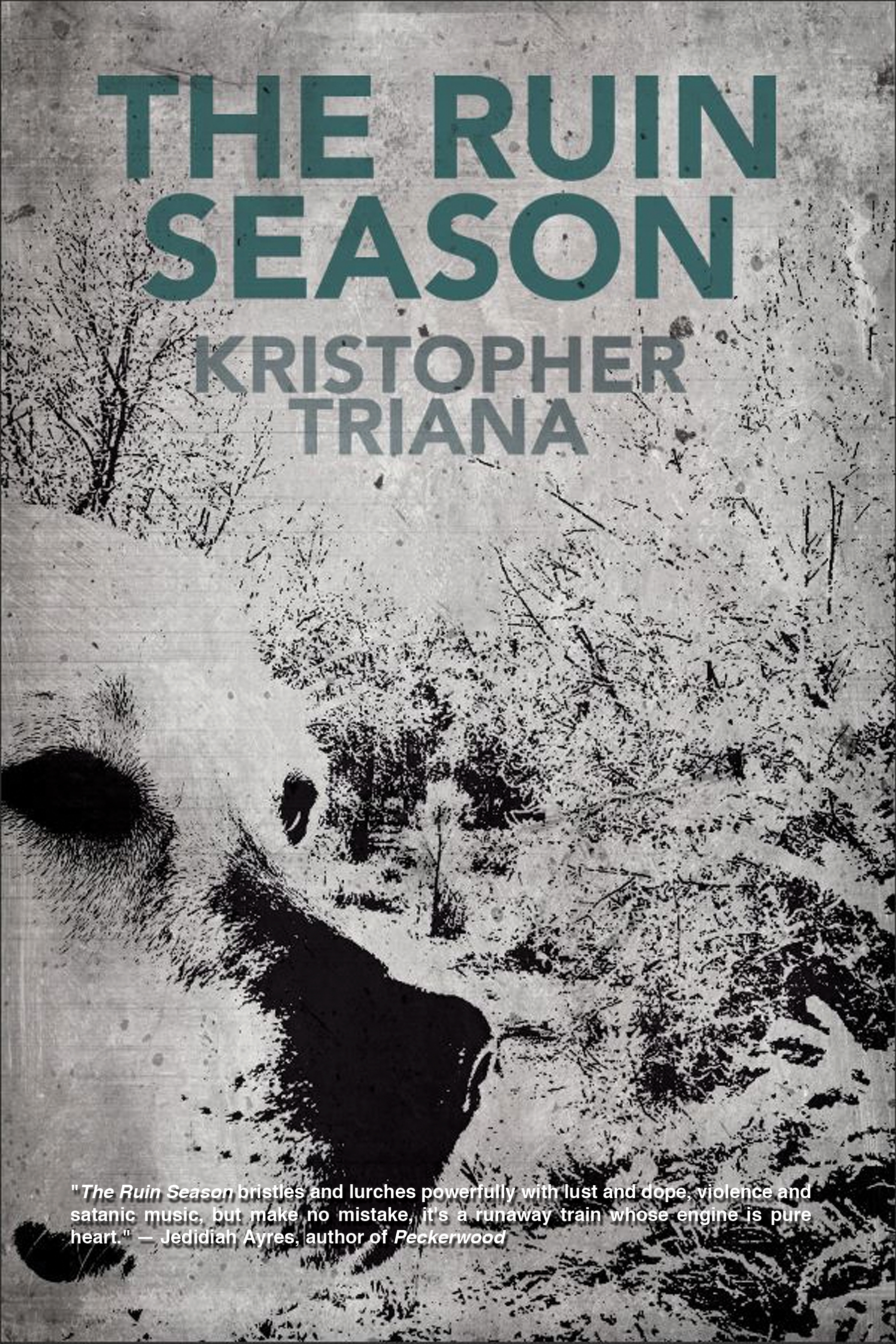The Ruin Season book cover