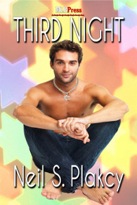 Third Night book cover