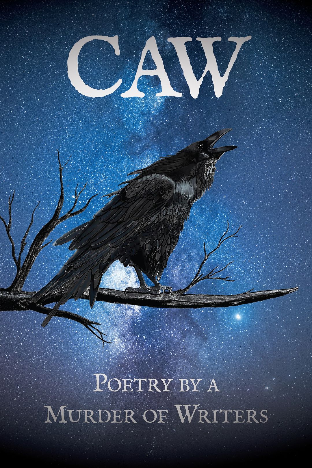 CAW; Poetry by a Murder of Writers book cover