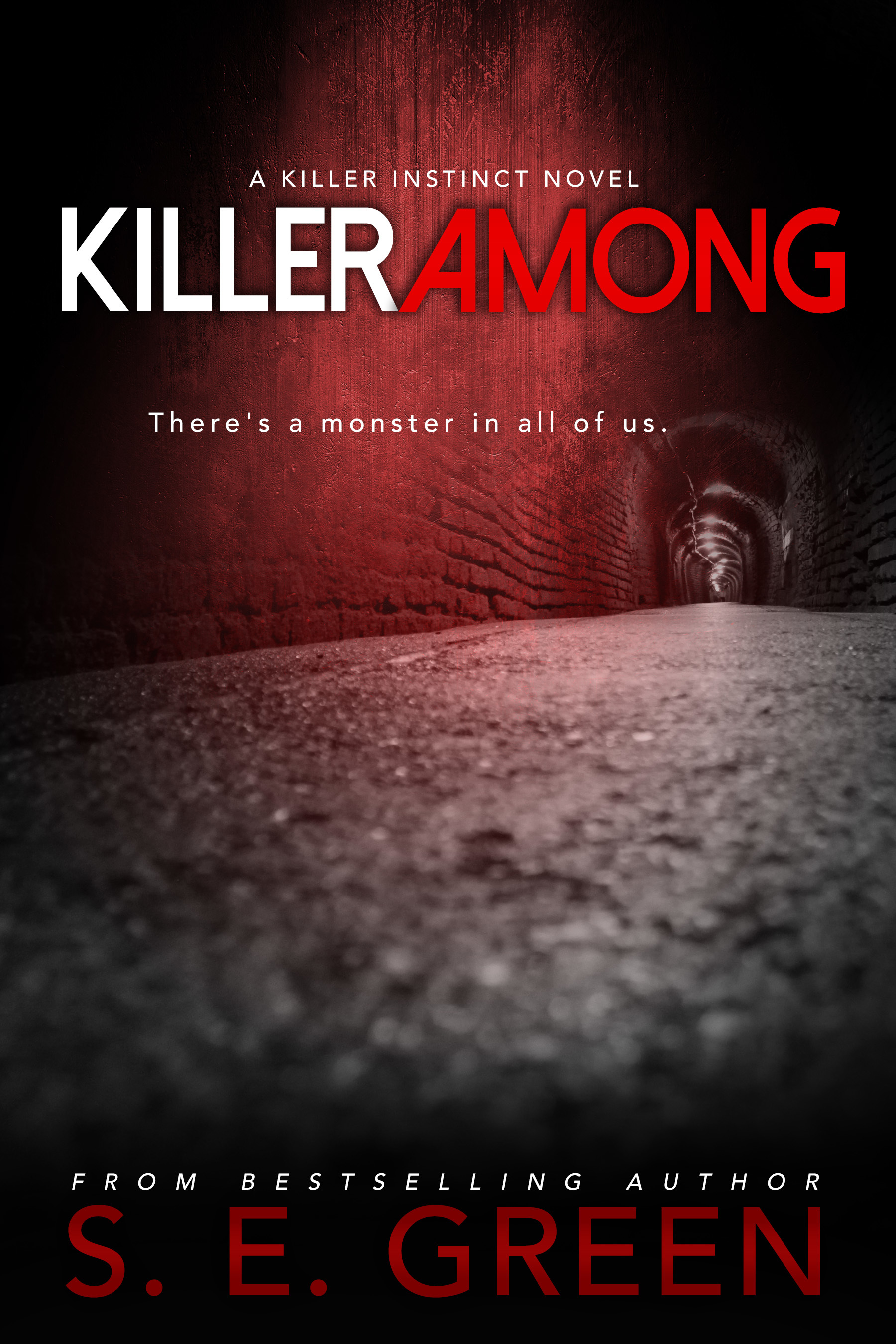 Killers Among book cover