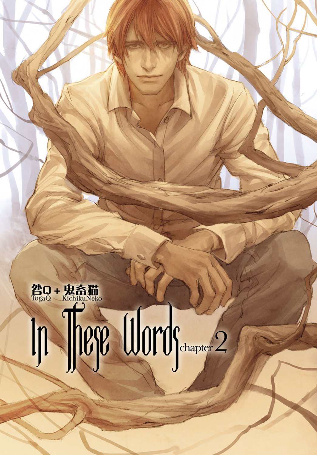 In These Words: Chapters book cover 2