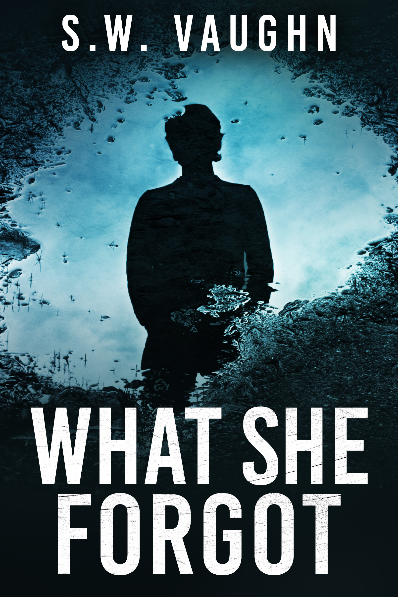 What She Forgot book cover