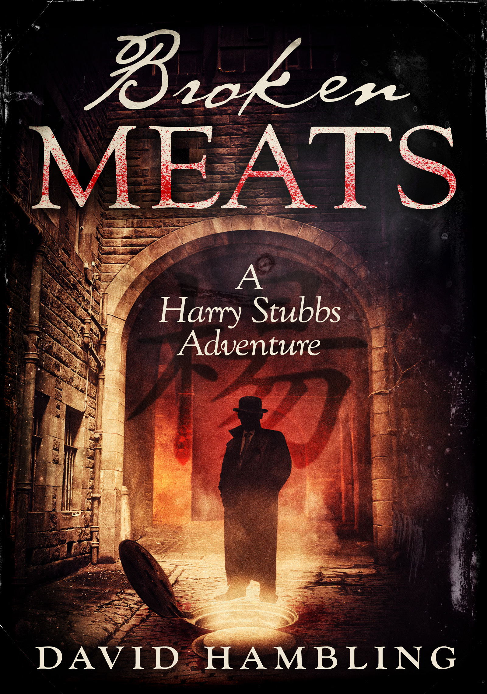 Harry Stubbs book cover 2