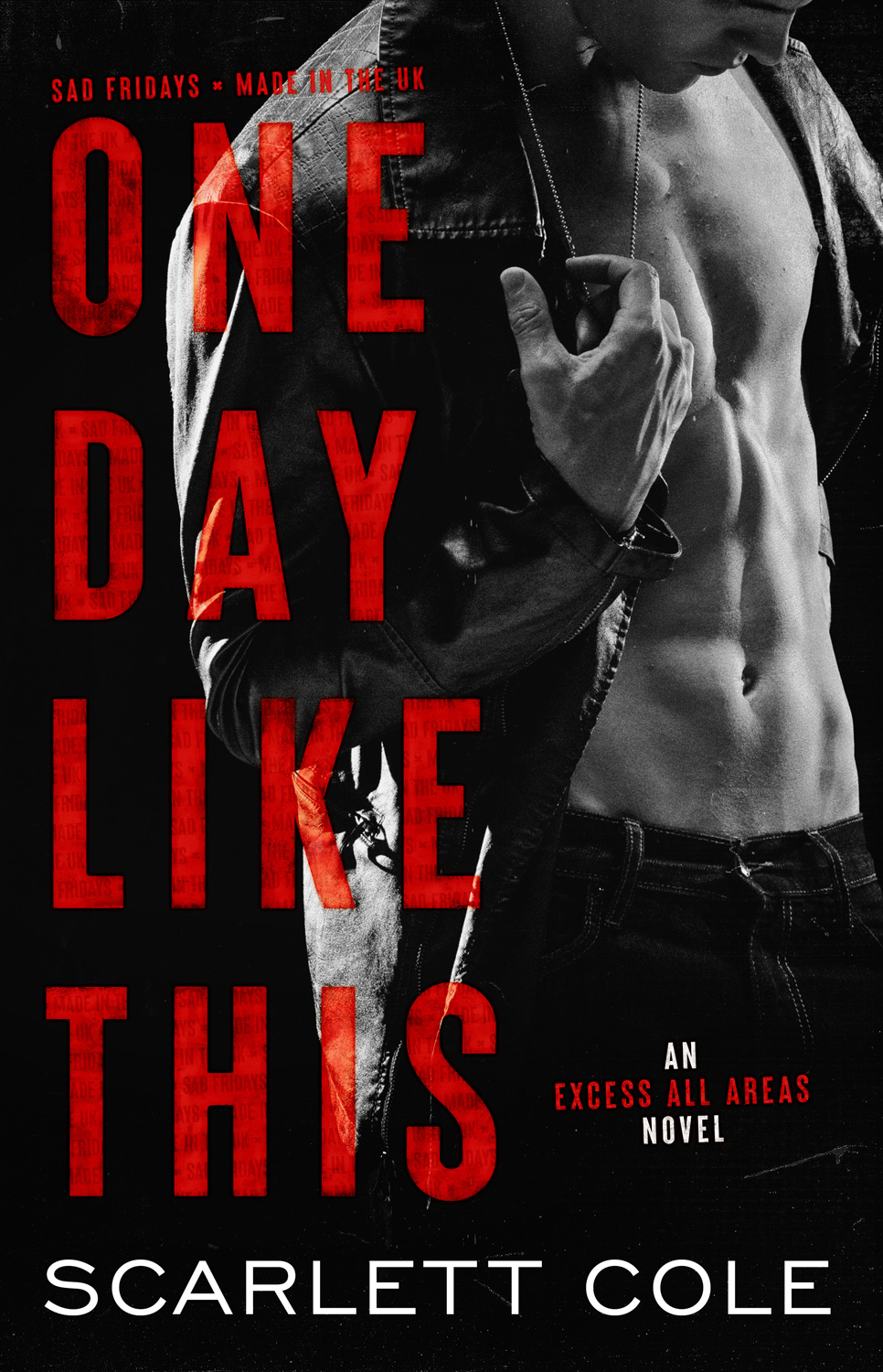 Excess All Areas book cover 1