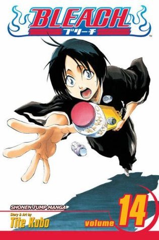 Bleach, Volume 14 book cover