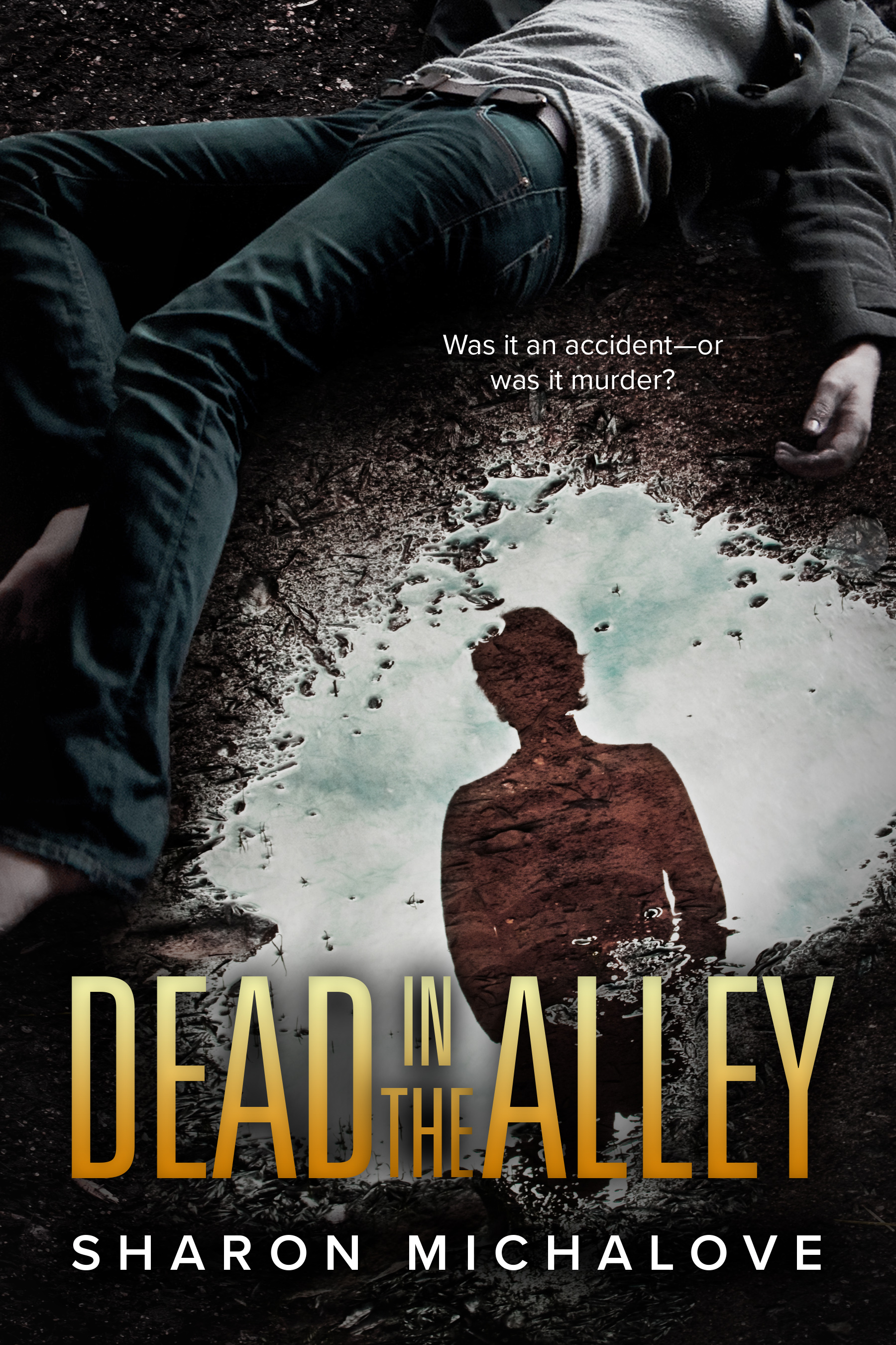 Dead in the Alley book cover