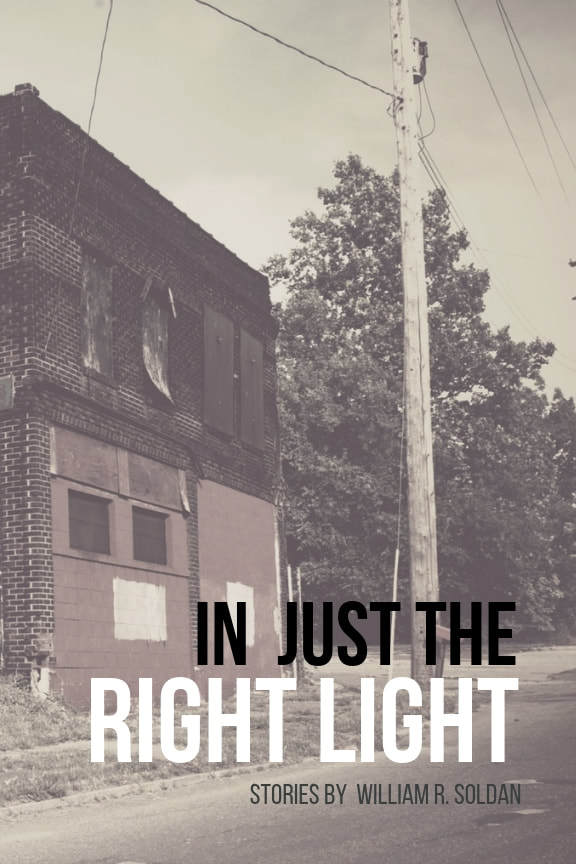 In Just the Right Light book cover