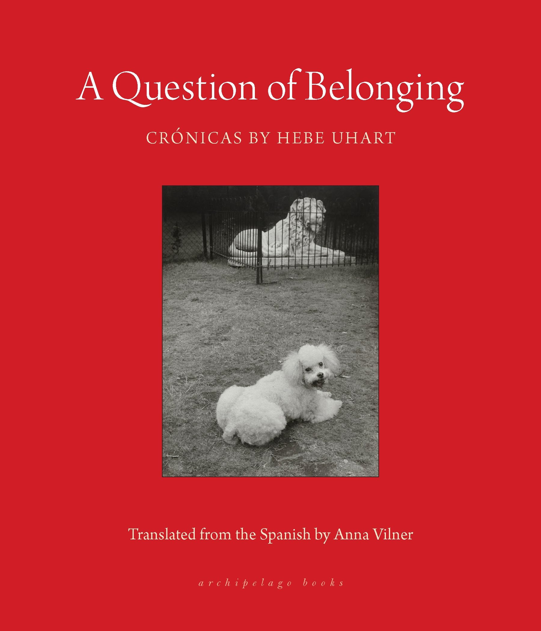 A Question of Belonging book cover