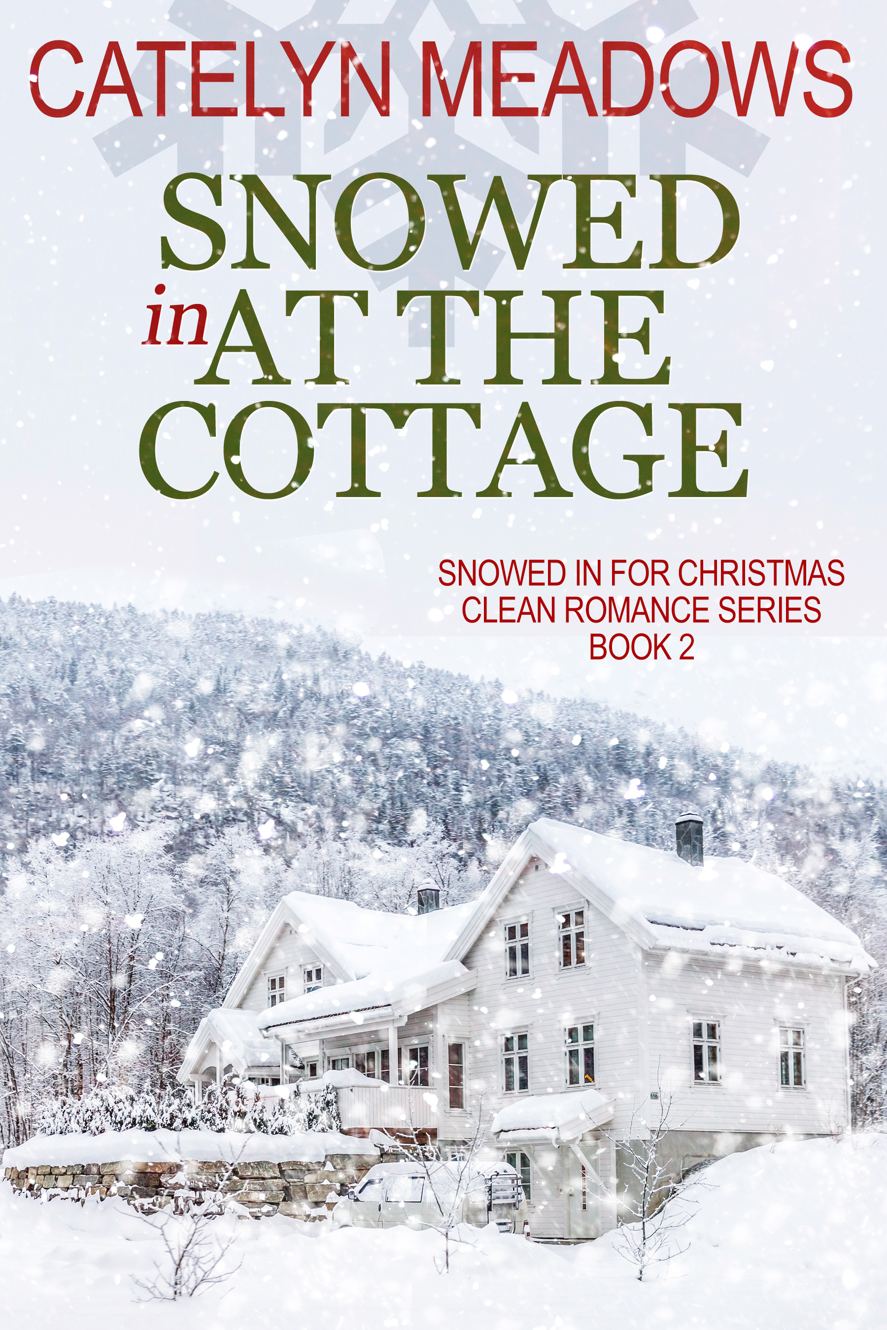 Snowed In at the Cottage book cover