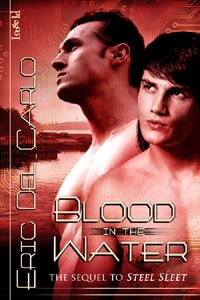 BlaqJaq book cover 2