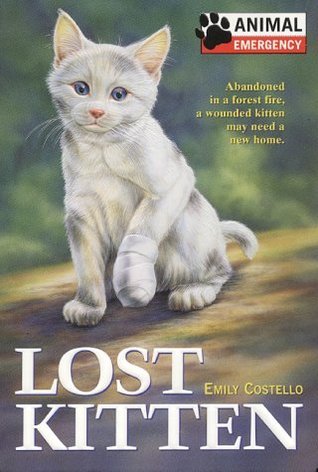 Lost Kitten book cover