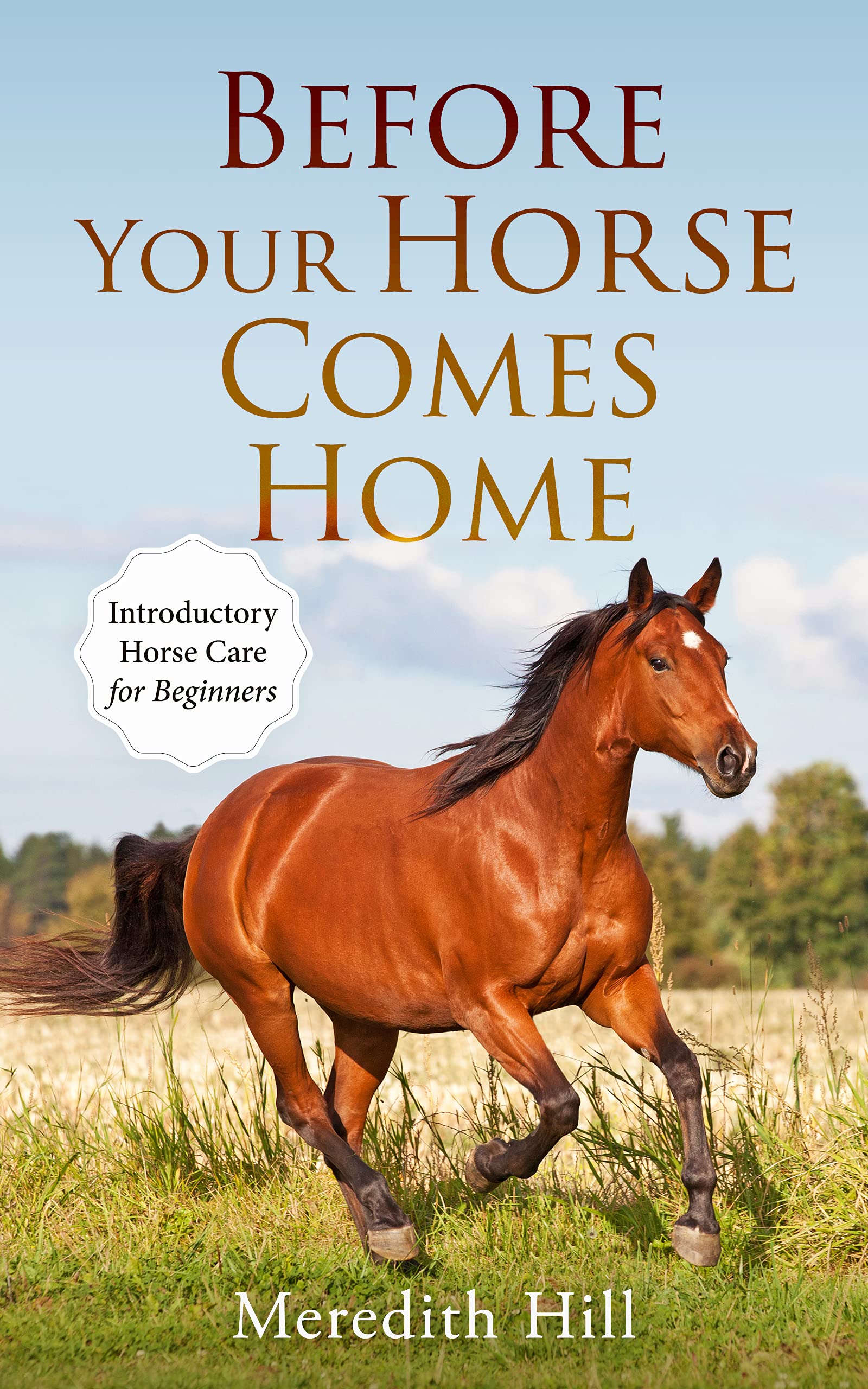 Before Your Horse Comes Home book cover