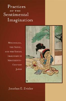 Practices of the Sentimental Imagination book cover