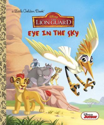 Eye in the Sky (Disney Junior book cover