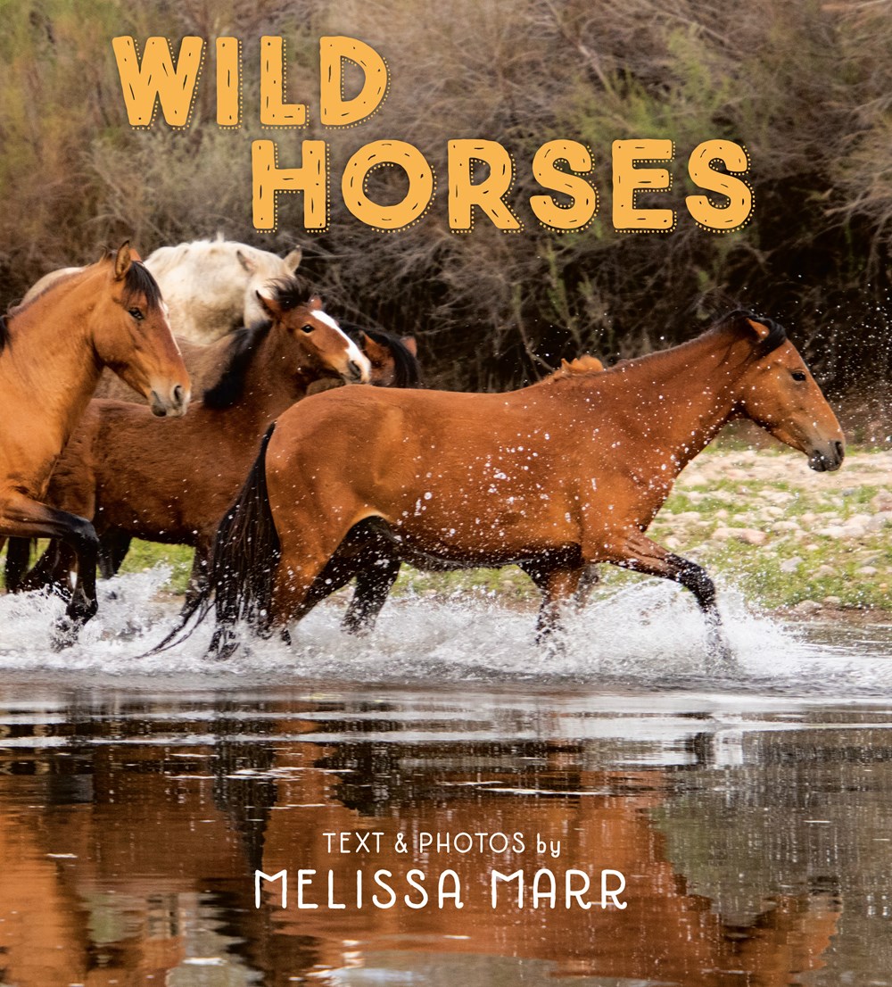 Wild Horses book cover