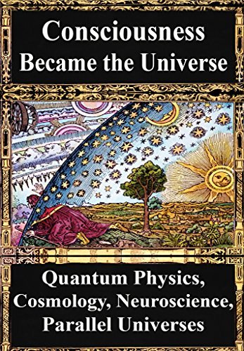 How Consciousness Became the Universe book cover