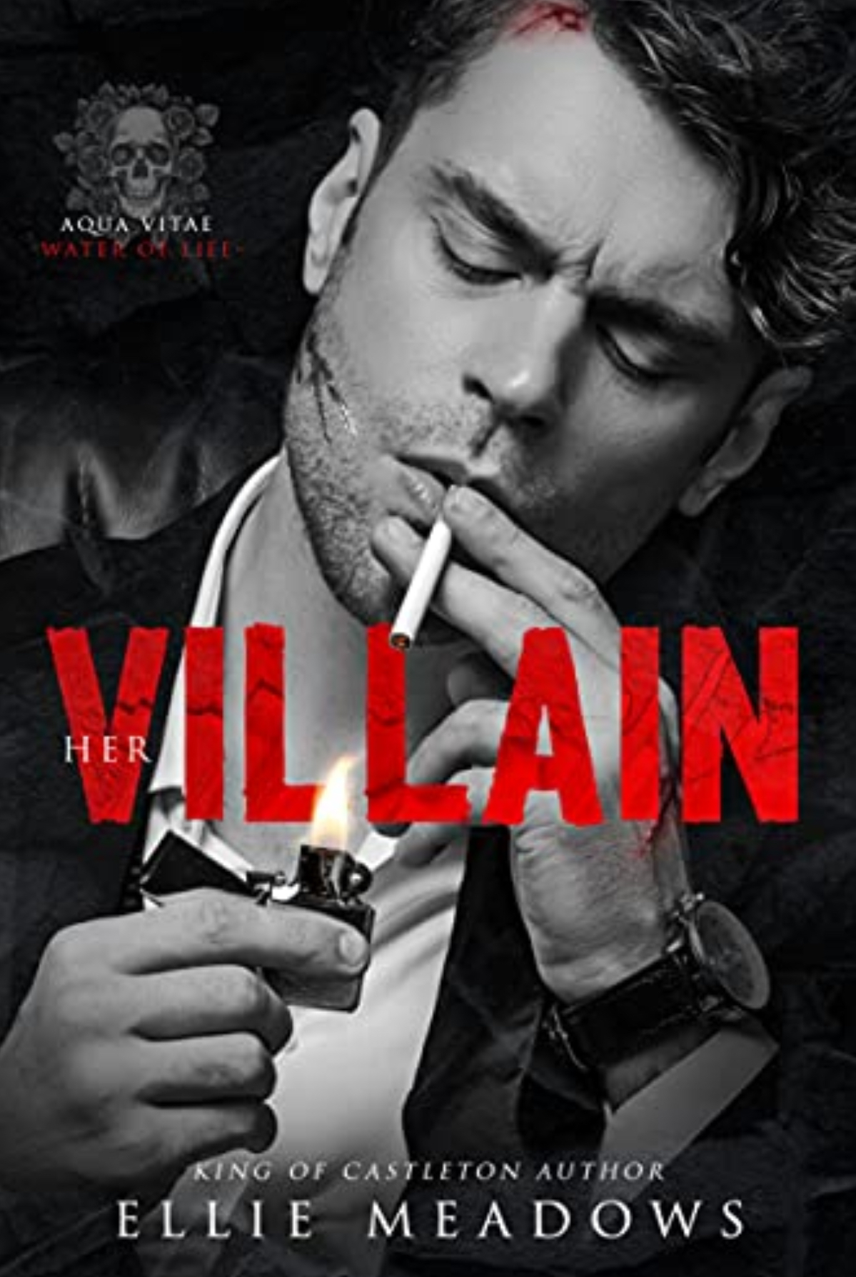Her Villain book cover
