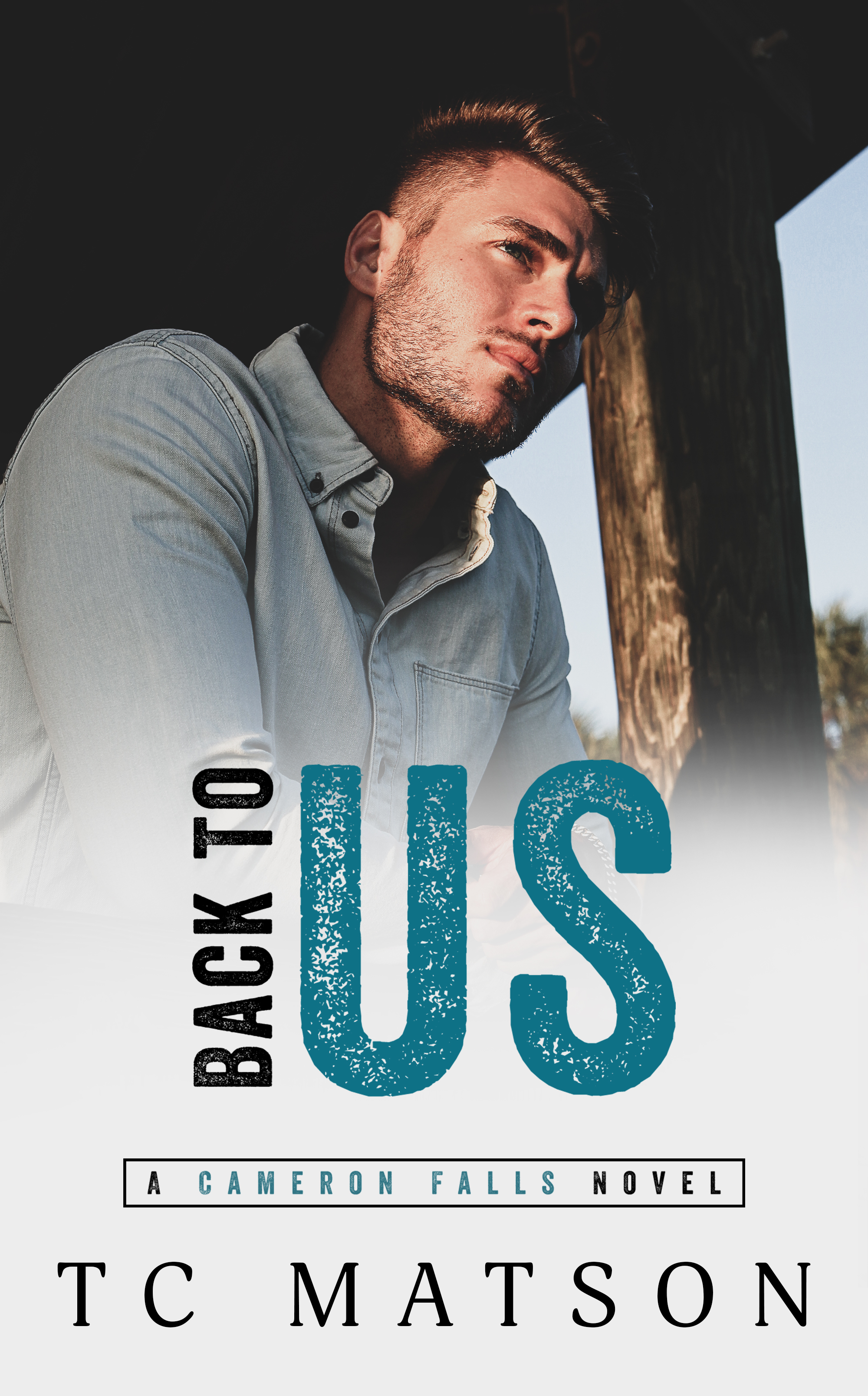 Cameron Falls book cover 2