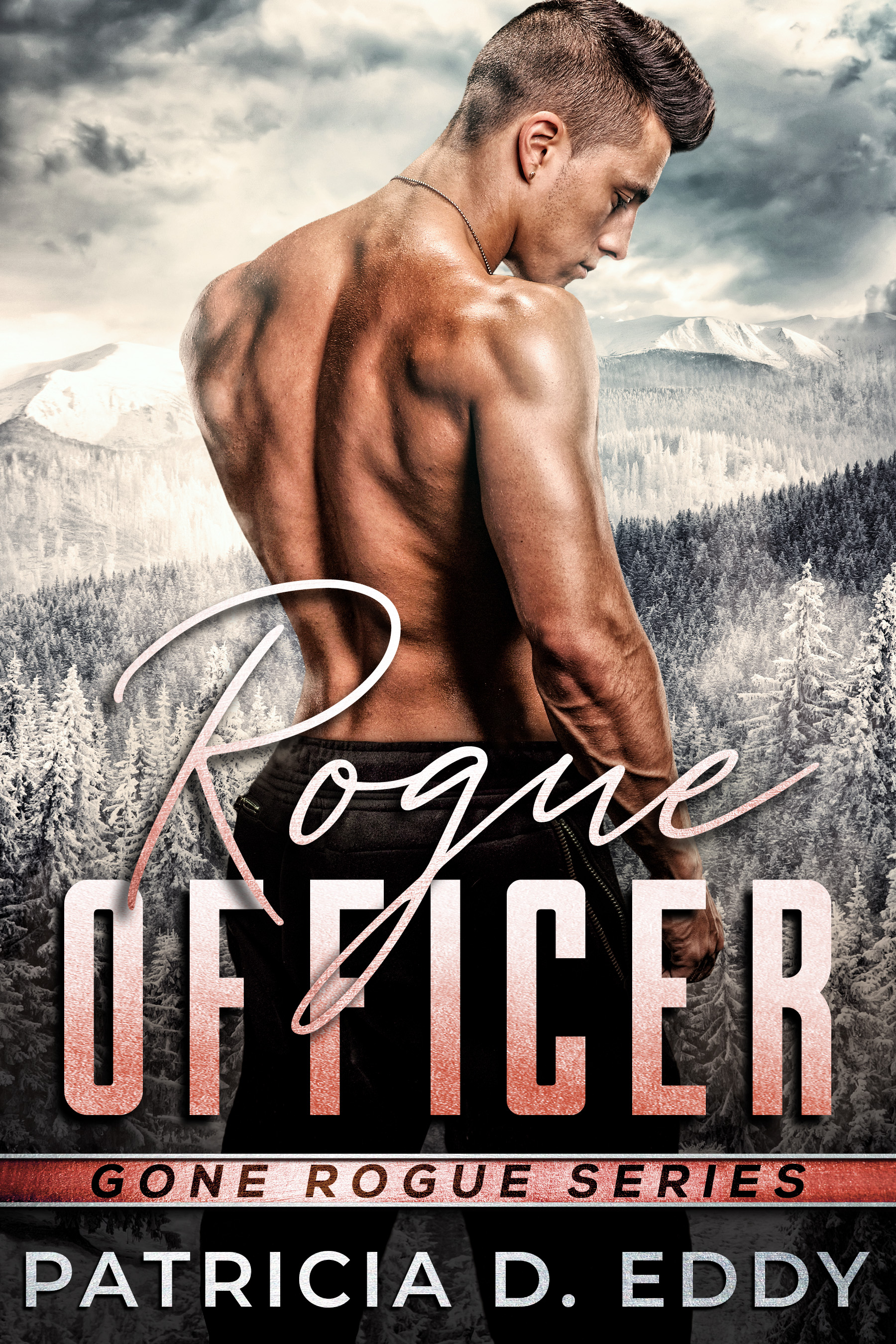 Gone Rogue book cover 2