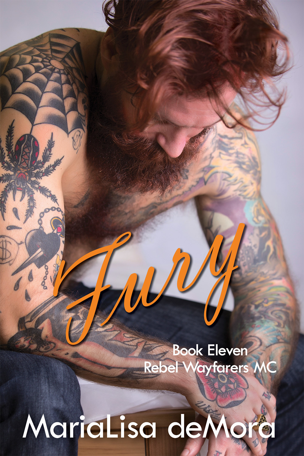 Fury book cover