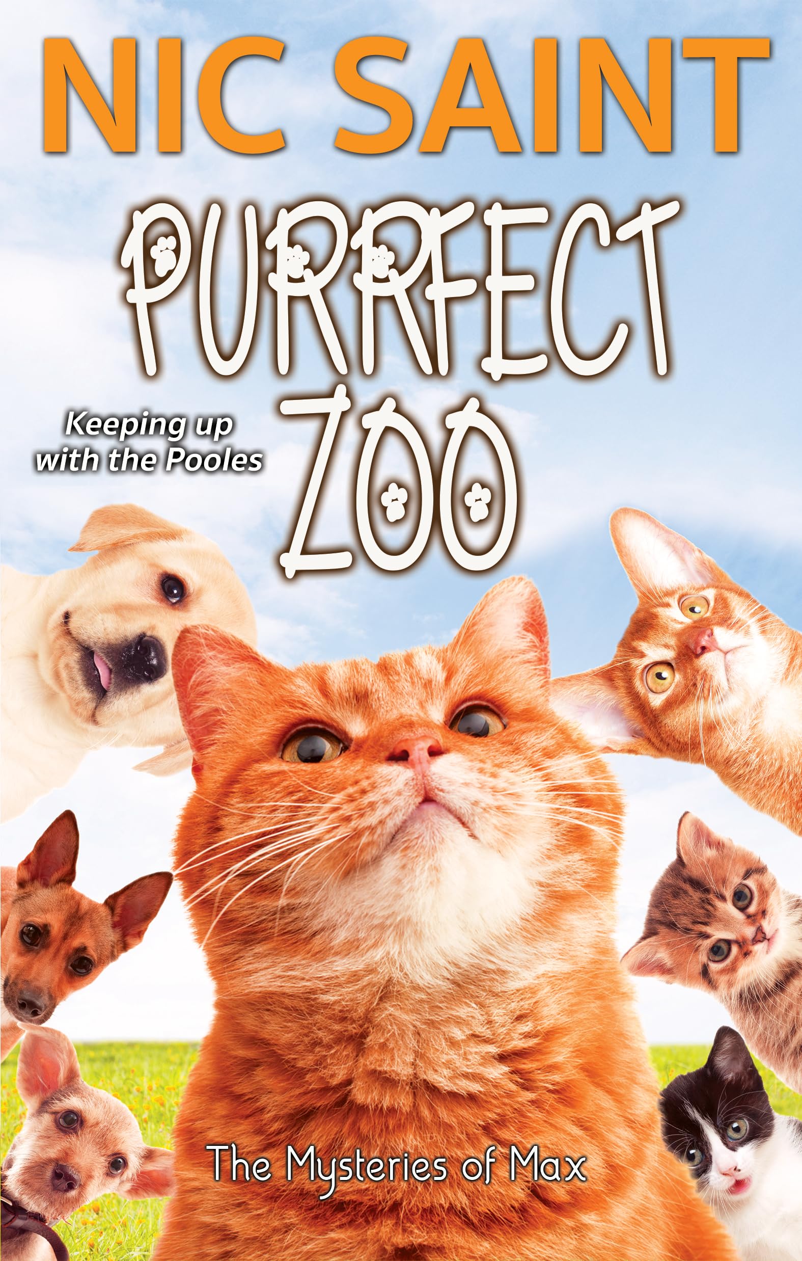 Purrfect Zoo book cover