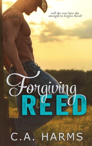 Southern Boys book cover 1