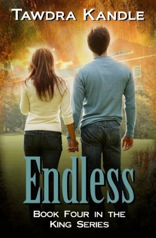 Endless book cover