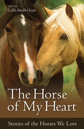 The Horse of My Heart book cover