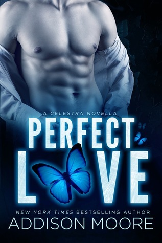 Perfect Love book cover