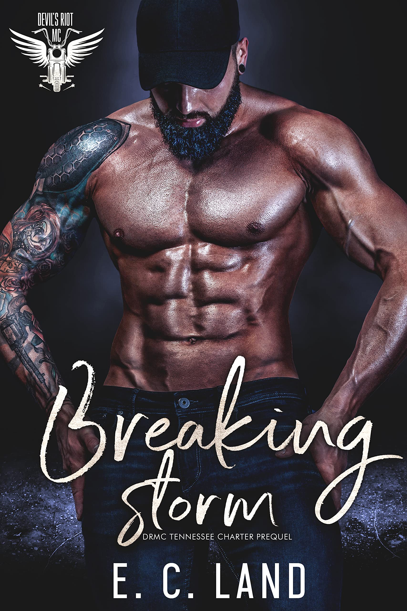 Breaking Storm book cover