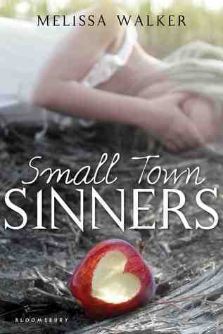 Small Town Sinners book cover