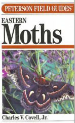 A Field Guide to Moths book cover