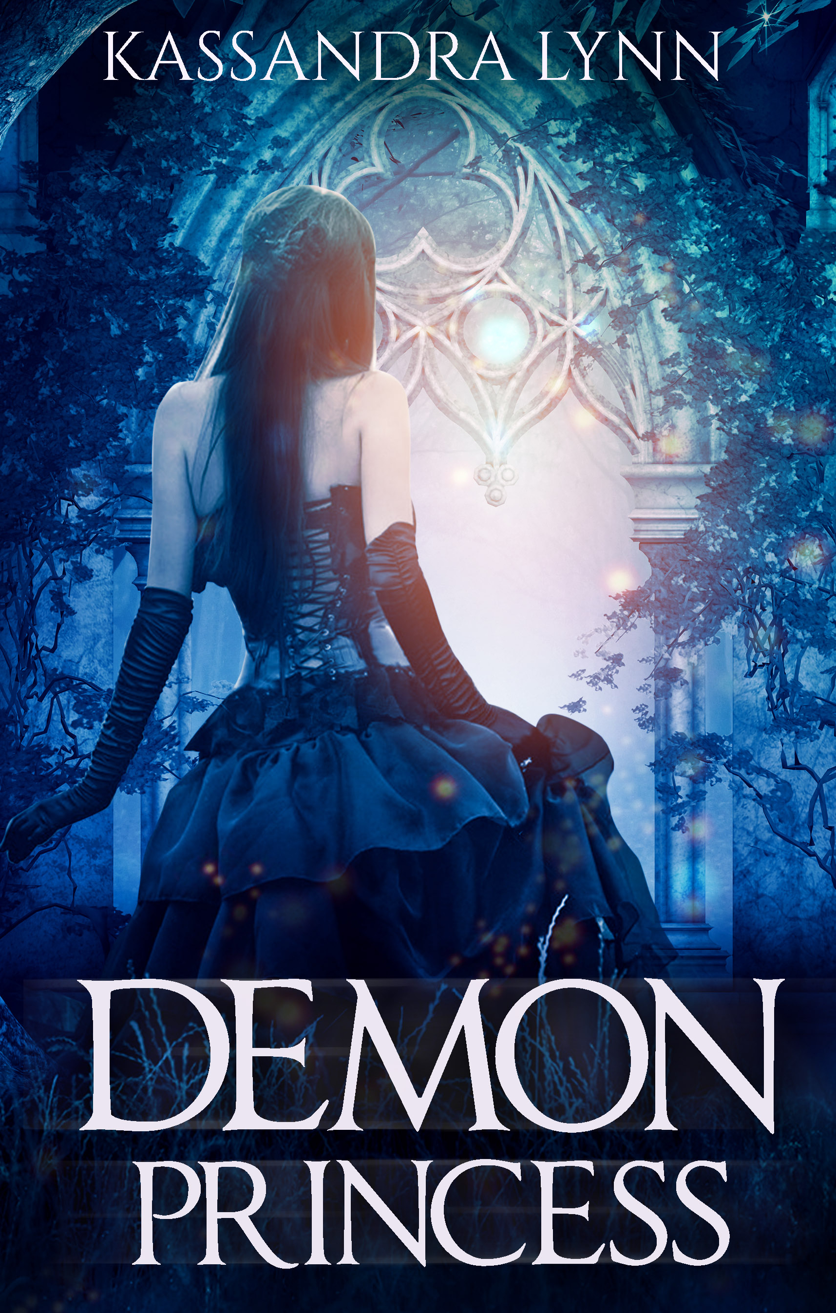 Demon Kingdom Fairy Tales book cover 1