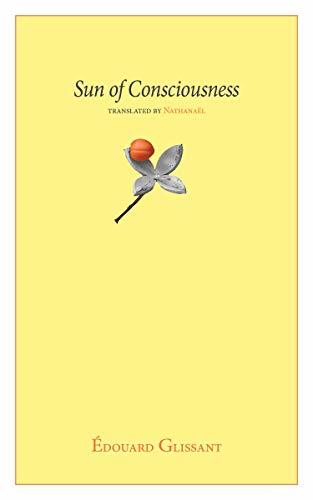 Sun of Consciousness book cover
