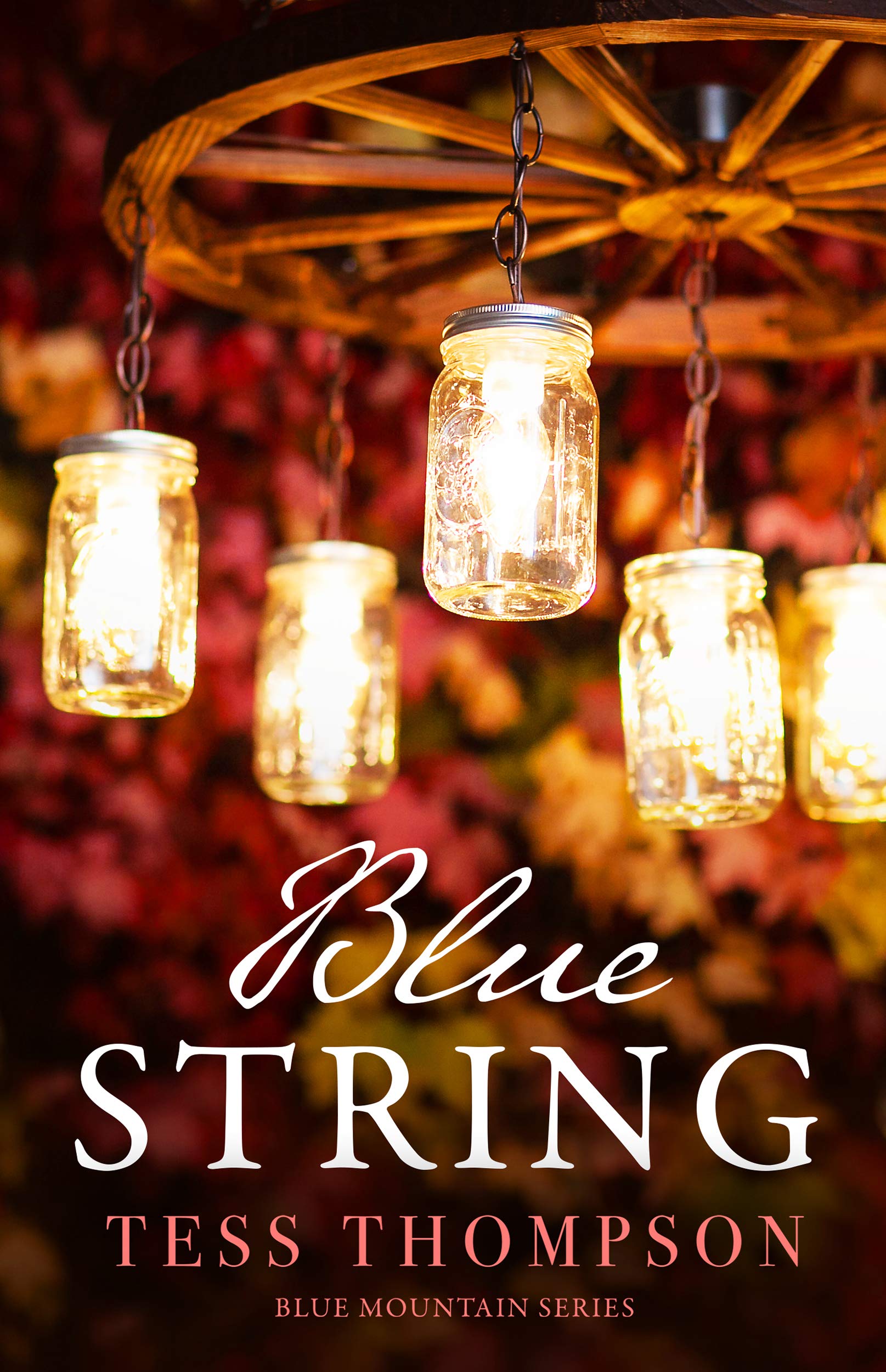 Blue String book cover