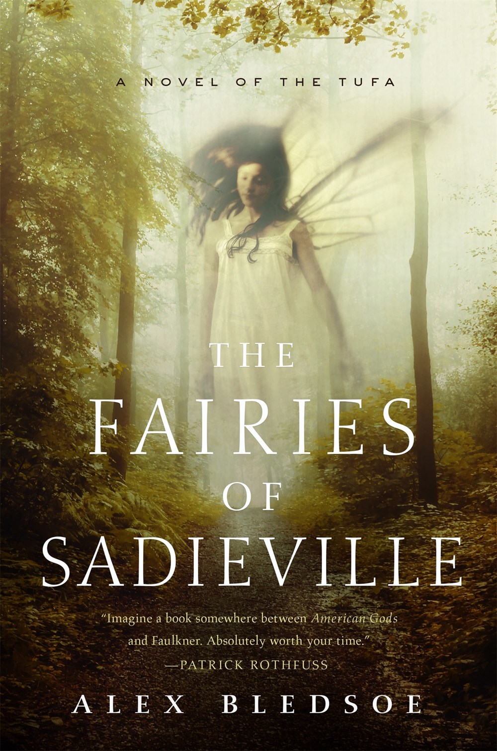 The Fairies of Sadieville book cover