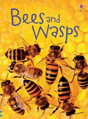 Bees and Wasps book cover