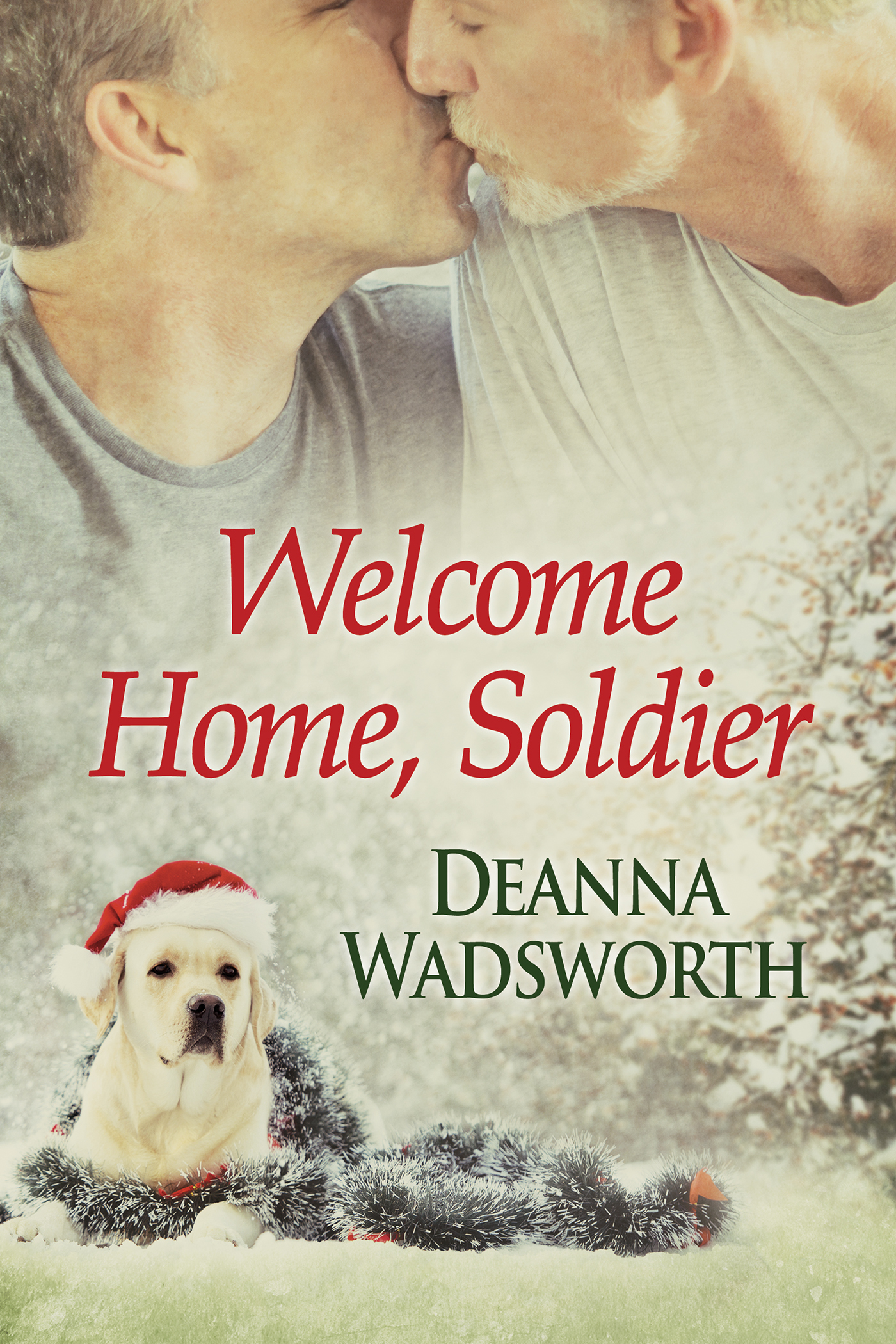 Welcome Home, Soldier book cover