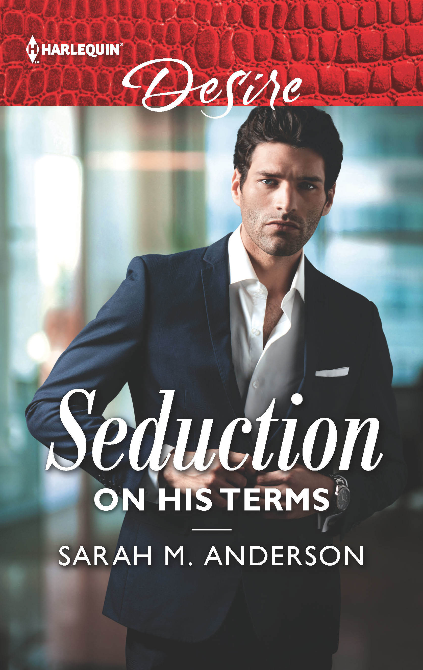 Seduction on His Terms book cover