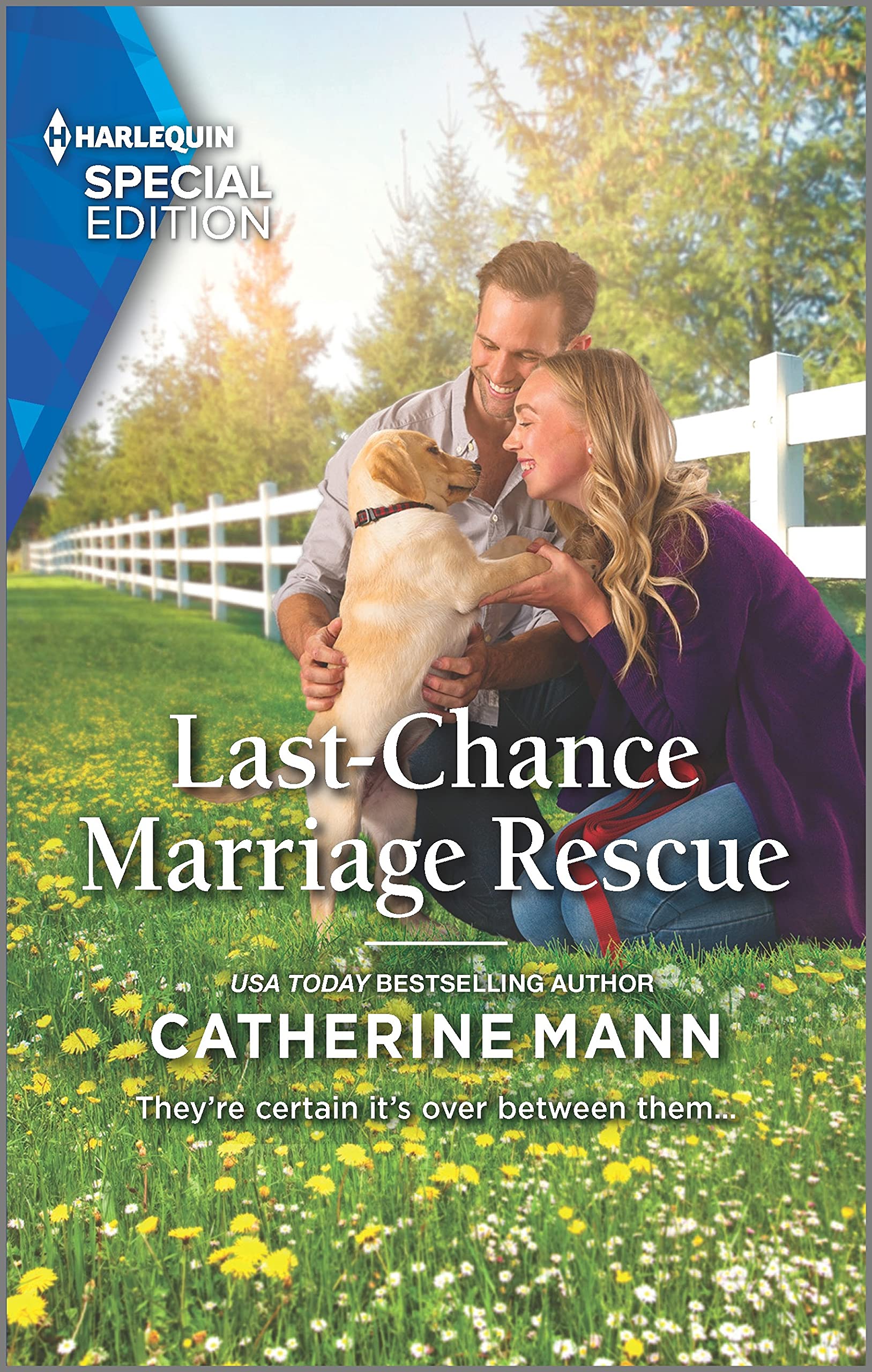 Top Dog Dude Ranch book cover 1