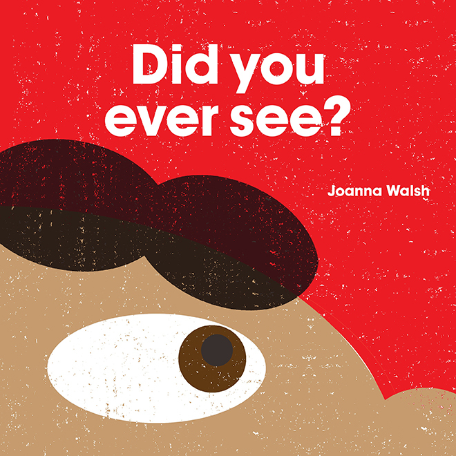 Did You Ever See? book cover