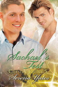 Sachael's Test book cover