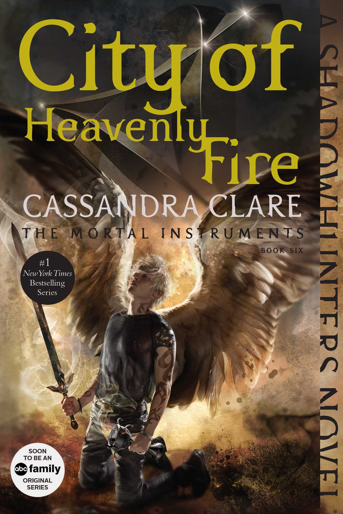 City of Heavenly Fire book cover