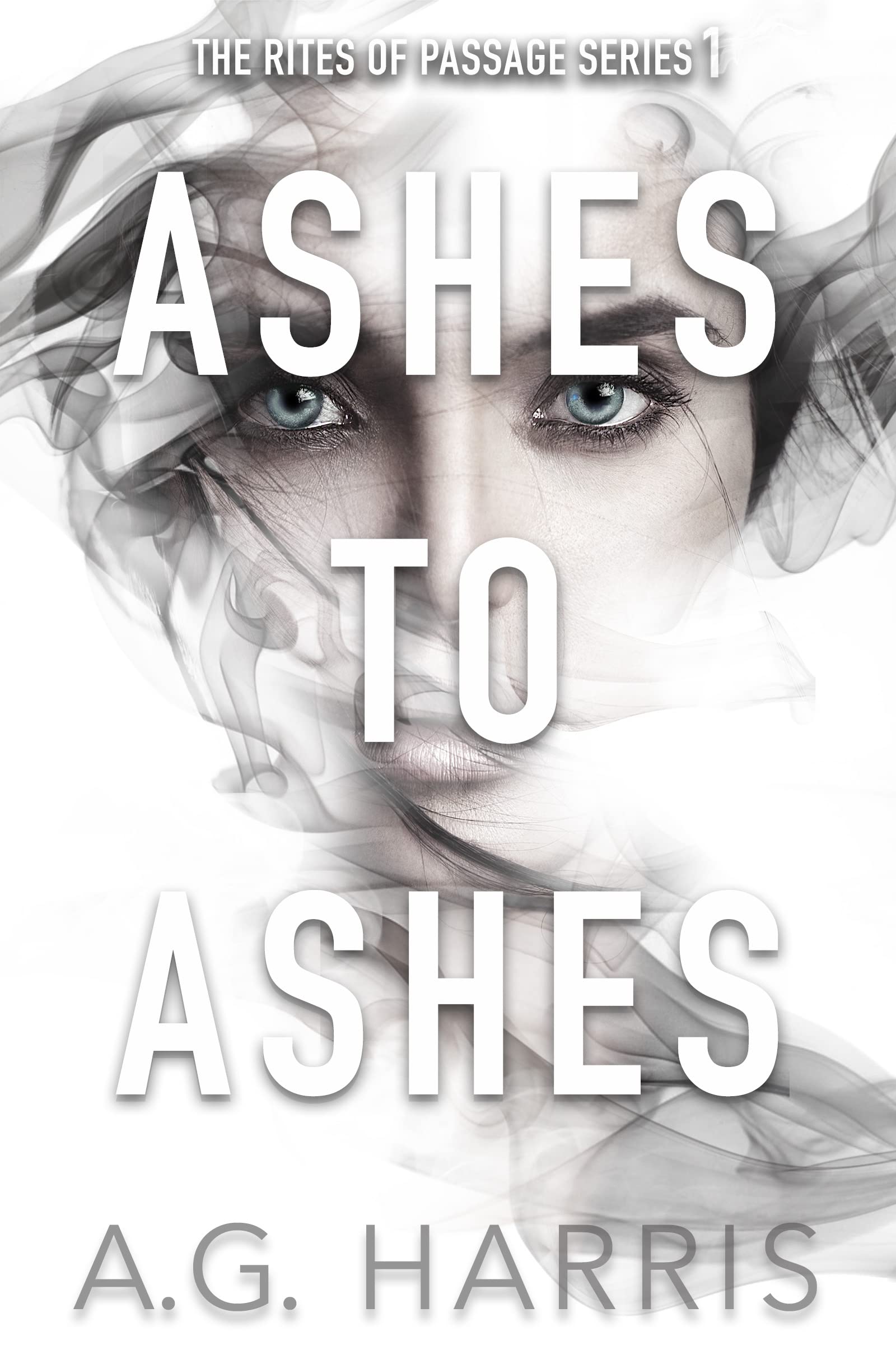 Ashes To Ashes book cover