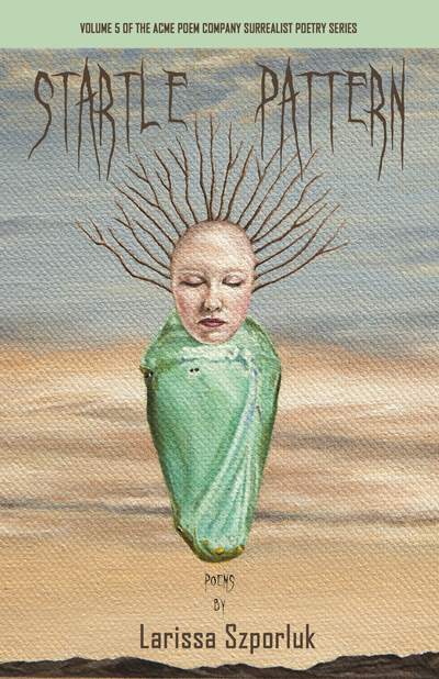 Startle Pattern book cover