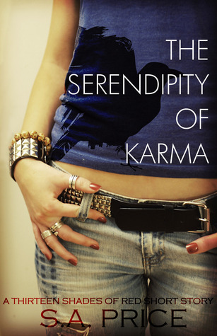 The Serendipity of Karma book cover