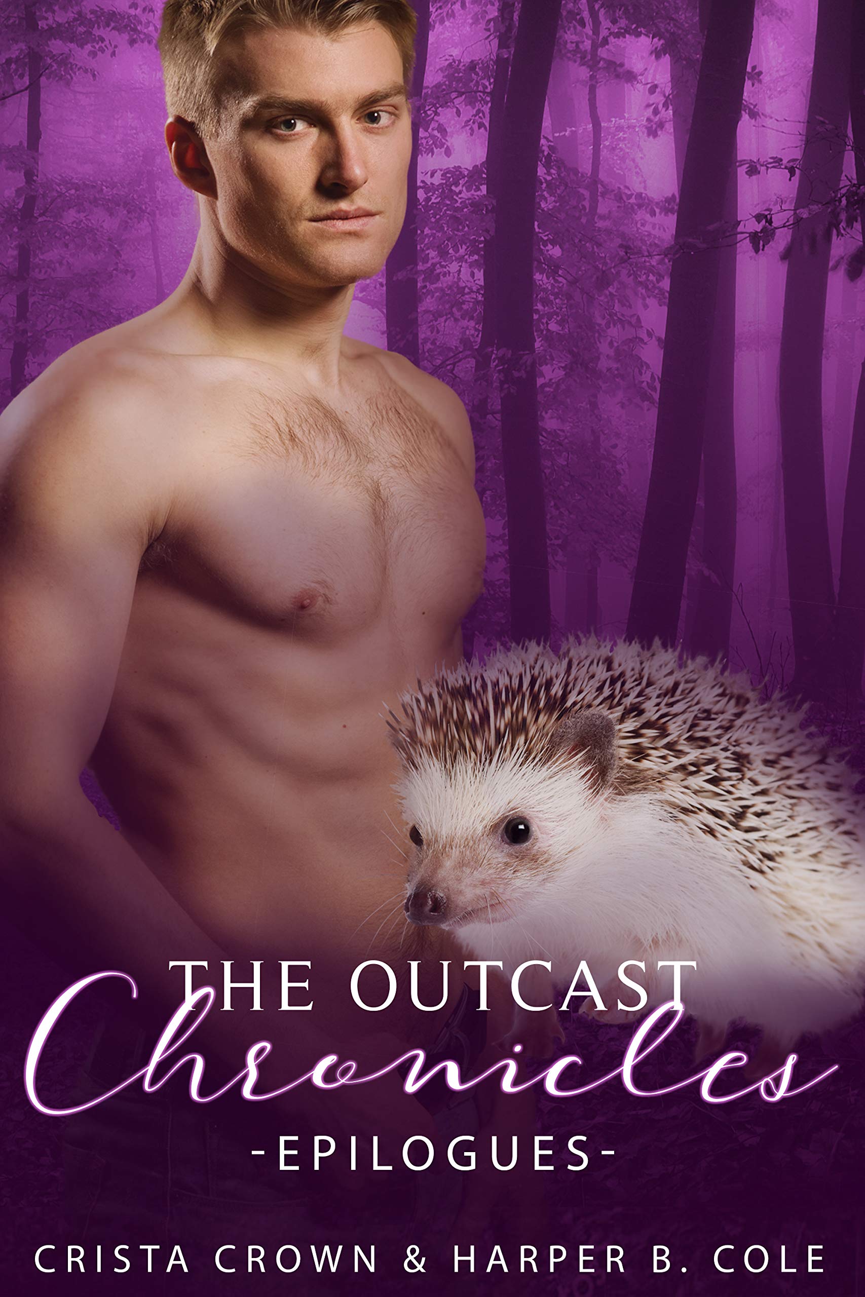 Epilogues book cover