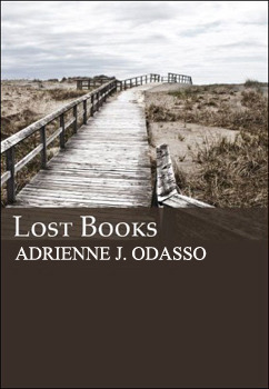 Lost Books book cover