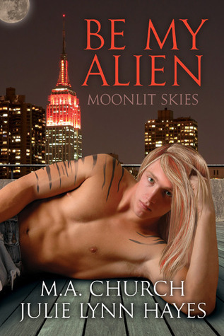 Moonlit Skies book cover 1