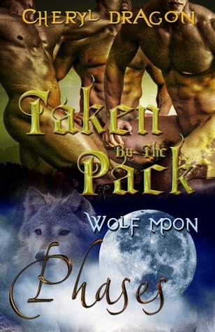 Phases book cover 1